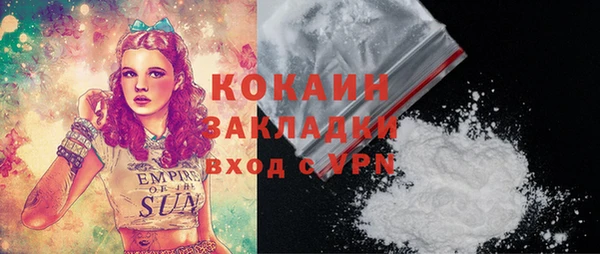 кокс Алексин