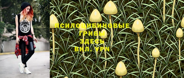 кокс Алексин
